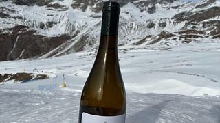Vignobles héroïques à 1200 mètres d'altitude dans les monts Nebrodi : vins mousseux de haute montagne et terroir insolite de Sicile