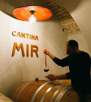 Degustação de Wine Evolution e Aperitivo / Tradição Contemporânea na Cantina Mir