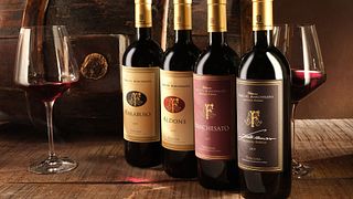 Tuscan Bolgheri Premium Wine Tour & Tasting