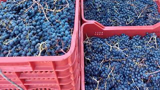 Tenuta Le Fracce