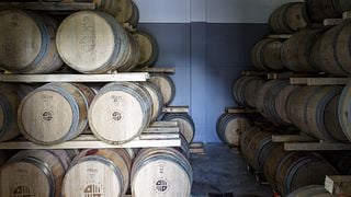 Tuscan Organic Wine Journey at San Bonifacio