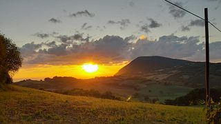 Weinprobe und Führung in der Fattoria Lucesole