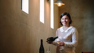 Degustazione Vini con Prelibatezze Locali