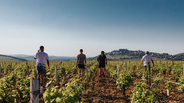 Degustazione di vini e tour al Domaine Pierre Riffault