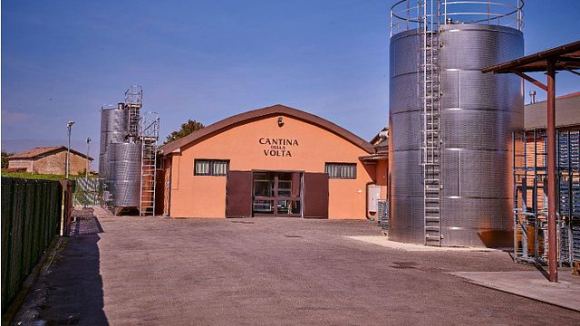 Sorbara y sus variantes | Cata de vinos y visita guiada en la Cantina Della Volta
