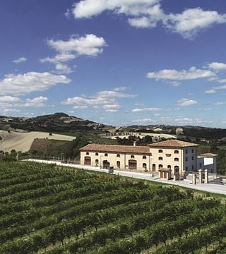 Dégustation de vins et visite à la Cantina Colognola