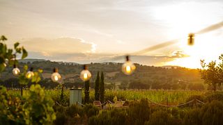 Weinprobe bei Sonnenuntergang zwischen den Weinbergreihen