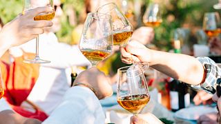 Degustação de vinhos com almoço leve no Vineyard