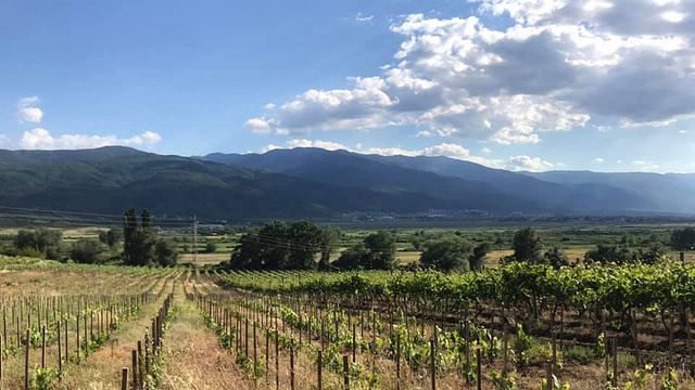 Orbelia Winery