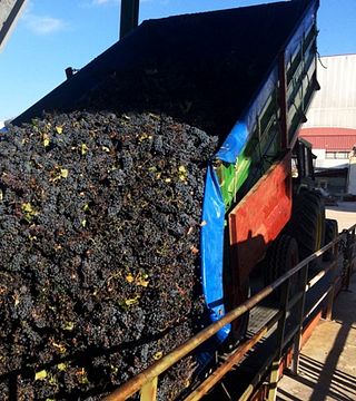Bodegas Fernandez Winery