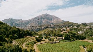 Visita guiada y cata de 3 vinos PREMIUM en Vinyes Mortitx