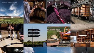 Alentejo Terroir & Tasting at Ribafreixo
