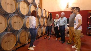 Tour für die ganze Familie im Weingut Araico
