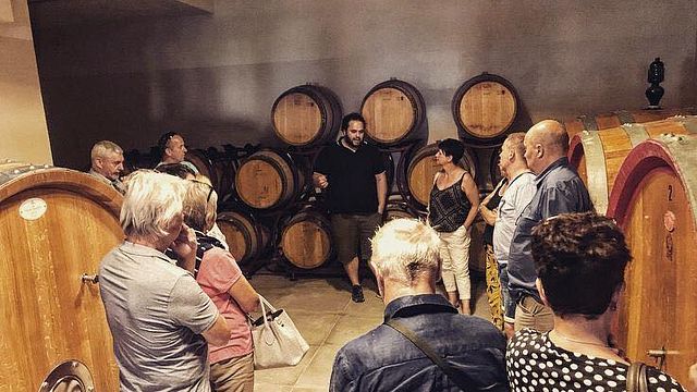 Dégustation de vins et visite à la Cantina Del Giusto