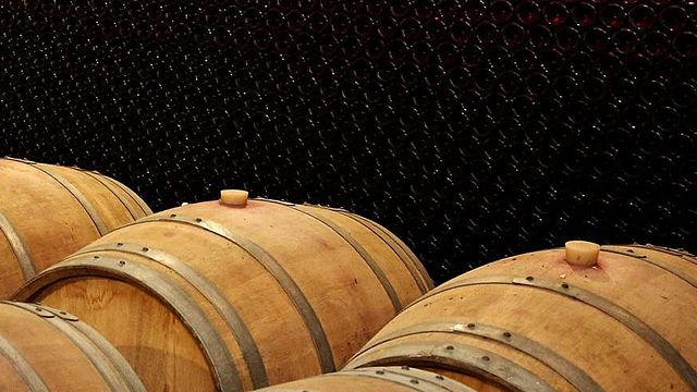 Cata de vinos y visita guiada en Basilescu