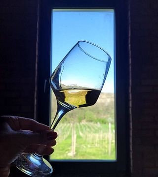 Winery Zodi: Exceptional Wines from Imereti
