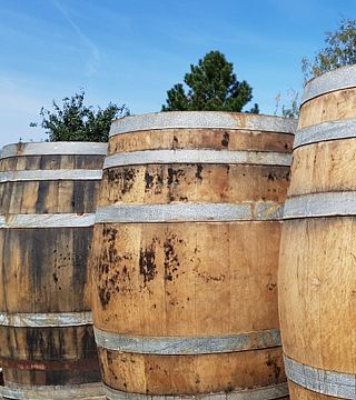 Dégustation de vins et visite au Weingut Norbert Bauer