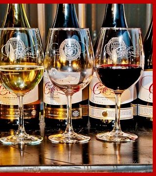 Cata de vinos en la bodega Colloca Estate