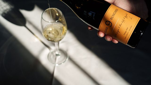 Dégustation de vins avec déjeuner léger au vignoble