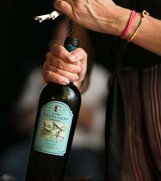 Fattoria Uccelliera