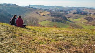Experiência Classici Dell'Albese em Poderi Moretti Di Moretti Francesco