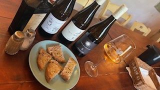 Visita y degustación de vinos blancos orgánicos toscanos IGT