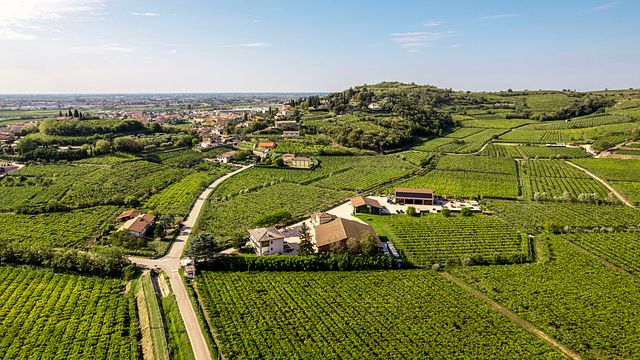 DISCOVERING PRÀ WINES