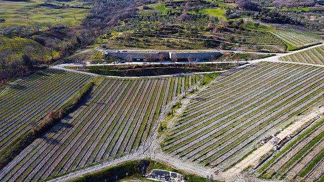 Dégustation de vins à La Nascosta