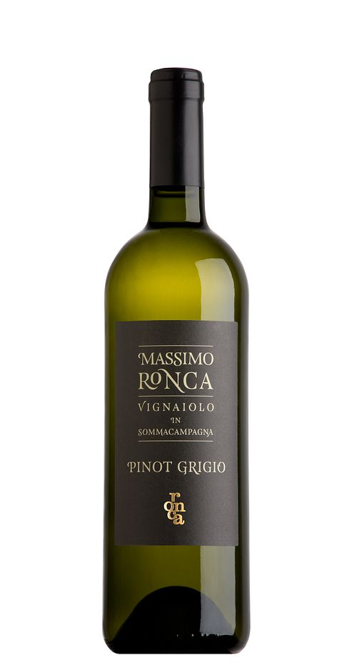 Pinot Gris of Venice DOC - Cantina Ronca