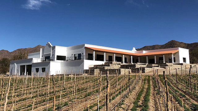 Bodega Puna