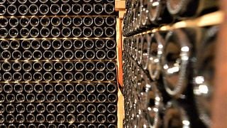 Degustação de vinhos premium e tour no Sandro De Bruno