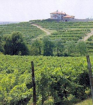 Un week-end œnologique à l'Azienda Cantarutti Alfieri