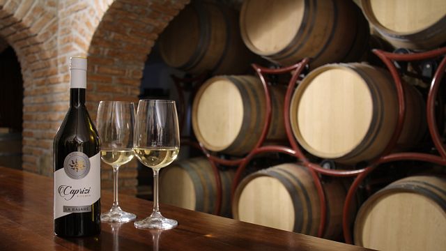 Cata de vinos y visita a La Rajade