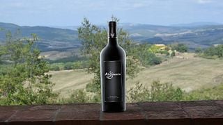 Degustazione e visita ad Alussinante