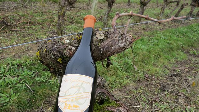 Domaine de la Grézille