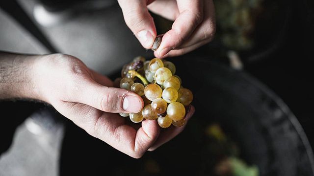 Bodegas Alutiz