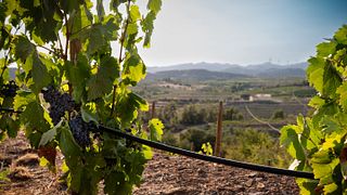 Clos Galena Winery