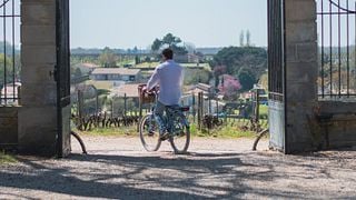 Noleggio biciclette
