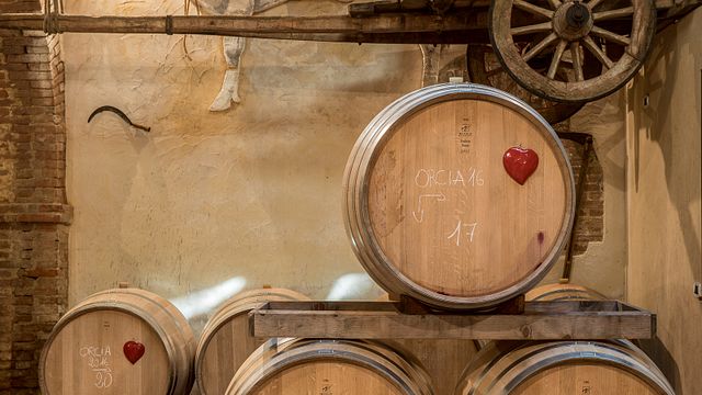 Historia, konst och vin på Fattoria del Colle