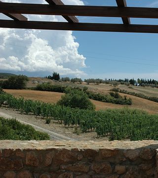 Visita a la Bodega y Cata de Plata en Pagani De Marchi