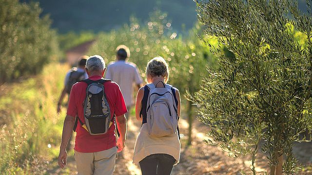 Degustazione di vini ed escursione al Domaine Rocheville
