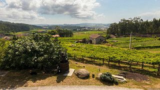BODEGAS SANTIAGO ROMA, S.L.