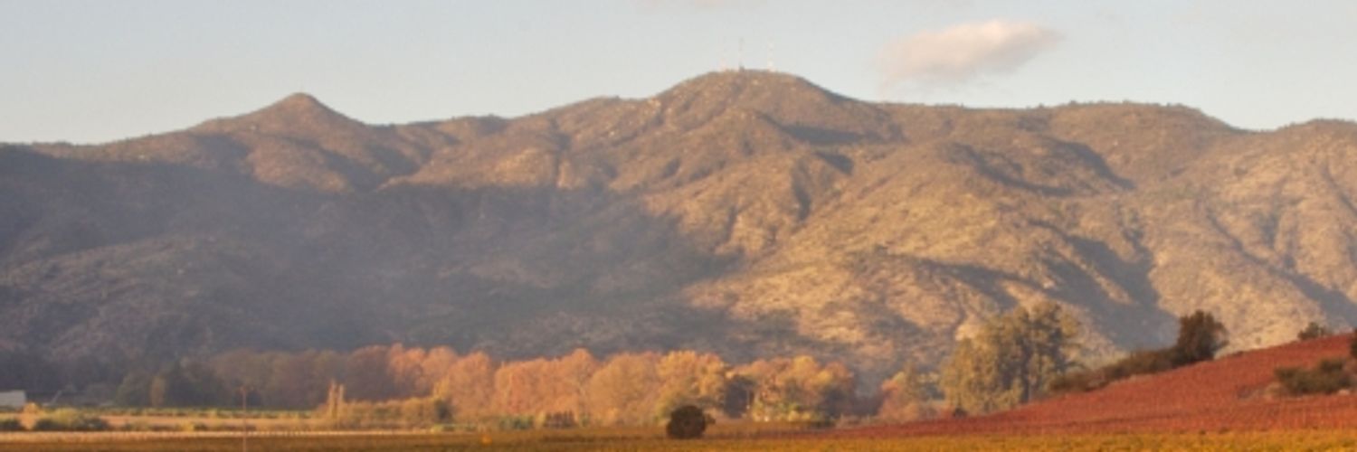 Concha Y Toro Winery 1 Wt2025