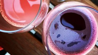 From Grape to Glass: Folicello's Organic Emilia Experience