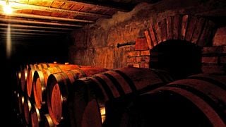Dégustation de vins et visite des caves à vin, Co.