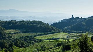 Degustação de vinhos privada e tour na Finca Batllori