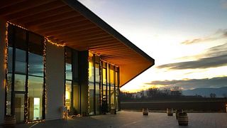 Weinprobe und Tour bei Bergdolt