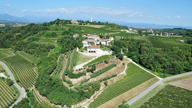 Dégustation et visite de vins haut de gamme à l'Azienda Agricola Aldo Adami