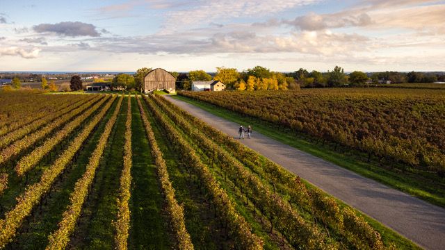 Weinprobe und Tour im Cave Spring Vineyard
