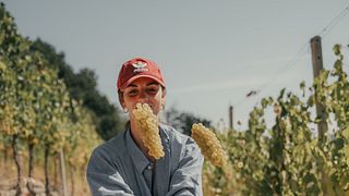 Azienda Vitivinicola Oddone Prati